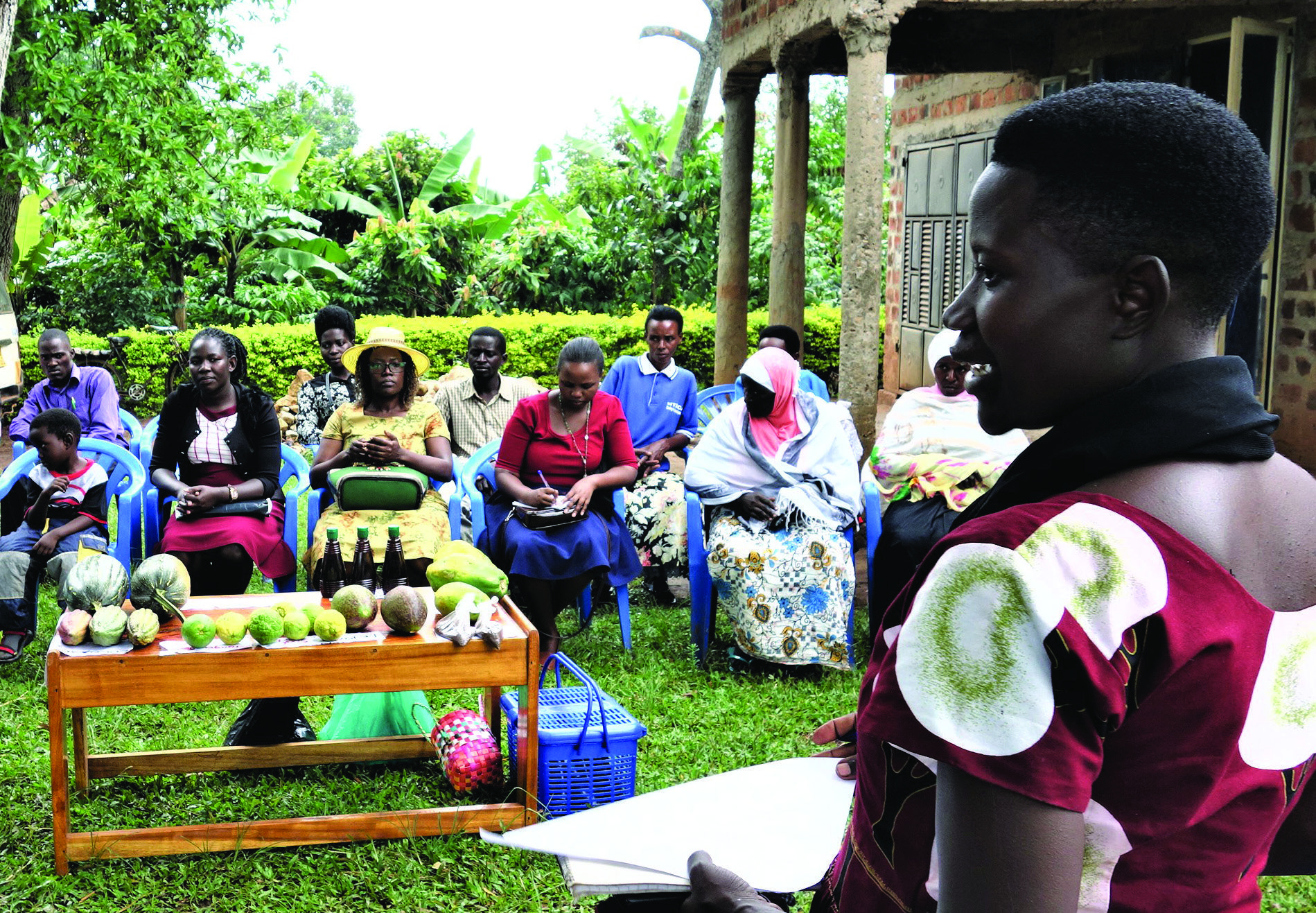 ARU-Practicum and Internship